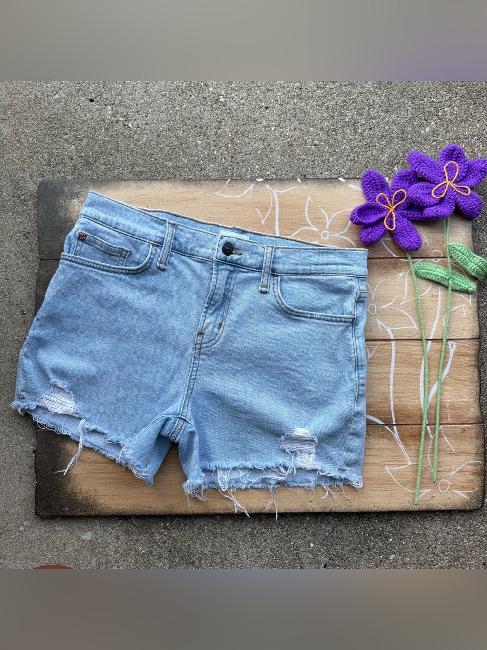 Hudson Distressed Jean Shorts Size 28